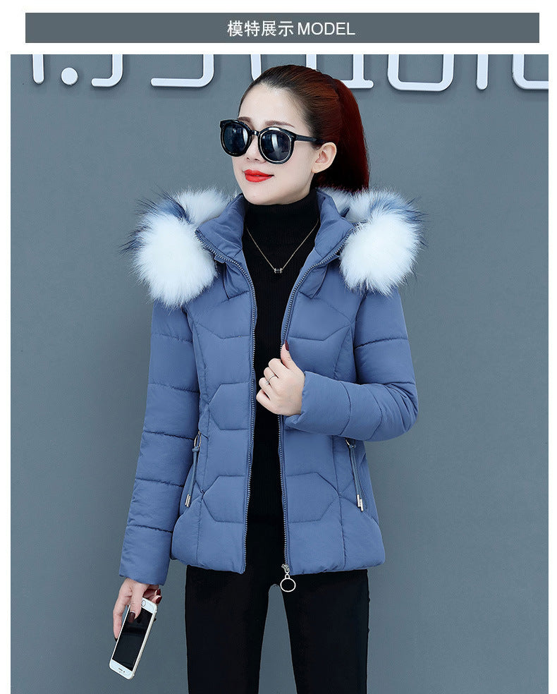 Women’s Short Cotton Padded Winter Jacket – Slim Fit with Fur Hood