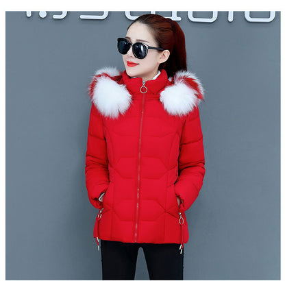 Women’s Short Cotton Padded Winter Jacket – Slim Fit with Fur Hood