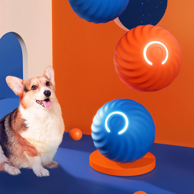 Durable Rubber Dog Ball Toy – Chew & Training Ball for Puppies & Dogs