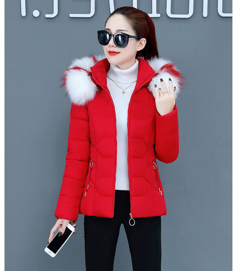 Women’s Short Cotton Padded Winter Jacket – Slim Fit with Fur Hood