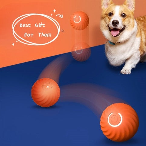 Durable Rubber Dog Ball Toy – Chew & Training Ball for Puppies & Dogs