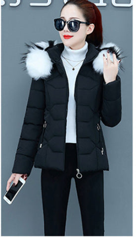 Women’s Short Cotton Padded Winter Jacket – Slim Fit with Fur Hood