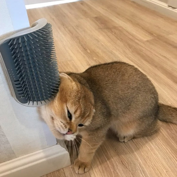 Cat Self-Grooming Brush – Wall Corner Rubbing & Massaging Tool