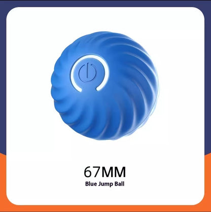 Durable Rubber Dog Ball Toy – Chew & Training Ball for Puppies & Dogs